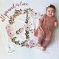 Preview: Das 1. Jahr mit Baby - Baby's First Year™ Swaddle-Tuch & Fotokarten Set - All you need is love von lulujo LJ593 121-014-014