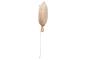Preview: Ballon 25x50cm Party Collection - Biscuit Preview: Ballon 25x50cm Party Collection - Biscuit