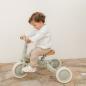 Preview: Dreirad 4 in 1 mit Griff Grün - Green Leaf Little Dutch