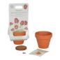 Preview: Little Dutch Pflanztopf Erdbeere - der Blumentopf mit Erdbeersamen