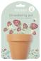 Preview: Little Dutch Pflanztopf Erdbeere - der Blumentopf mit Erdbeersamen