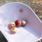 Preview: Little Dutch rosa Garten Schubkarre Metall - Fairy Garden