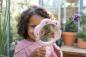 Preview: Little Dutch rosa Lupe - Fairy Garden Holz Kinderlupe Preview: Little Dutch rosa Lupe - Fairy Garden Holz Kinderlupe