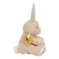 Preview: Kuschelhase LD8430 in Sandfarbe mit Etiketten zum Ertasten und Entdecken Preview: Kuschelhase LD8430 in Sandfarbe mit Etiketten zum Ertasten und Entdecken