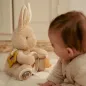 Preview: Aktivitätsspielzeug Hase LD8430 von Little Dutch für Babys ab der Geburt Preview: Aktivitätsspielzeug Hase LD8430 von Little Dutch für Babys ab der Geburt