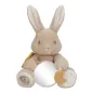 Preview: Baby Bunny Kuscheltier LD8430 in Sand mit Rassel und verschiedenen Texturen Preview: Baby Bunny Kuscheltier LD8430 in Sand mit Rassel und verschiedenen Texturen