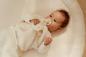 Preview: Little Dutch Little Goose Schnuffeltuch mit Schnullerbefestigung Preview: Little Dutch Little Goose Schnuffeltuch mit Schnullerbefestigung
