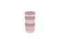 Preview: Little Dutch rosa Snackbox stapelbar Mepal Mio 3-teilig - Fairy Garden