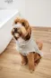 Preview: Hundebademantel beige Robi - PALOPA Preview: Hundebademantel beige Robi - PALOPA