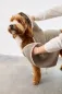 Preview: Hundehandtuch Nobs Taupe – saugstark & nachhaltig PALOPA Preview: Hundehandtuch Nobs Taupe – saugstark & nachhaltig PALOPA