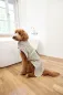 Preview: Hundebademantel beige Robi - PALOPA Preview: Hundebademantel beige Robi - PALOPA