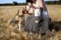 Preview: Hundemattentasche anthrazit - Nobo PALOPA Preview: Hundemattentasche anthrazit - Nobo PALOPA