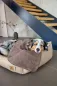 Preview: Hundedecke M - Mathilda in Walnuss -PALOPA Preview: Hundedecke M - Mathilda in Walnuss -PALOPA