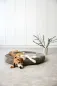 Preview: Hundebett Rund graubraun - Fippa Taupe PALOPA Preview: Hundebett Rund graubraun - Fippa Taupe PALOPA