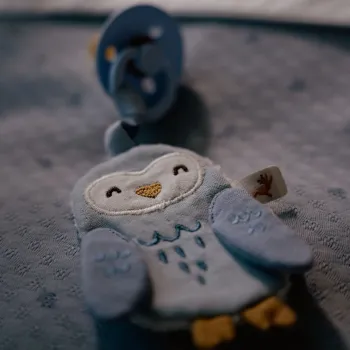 Little Dutch Schnullertuch Eule blau – Forest Friends Bio-Musselin