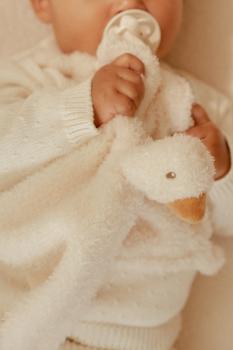 Little Goose Kuscheltuch mit Gänse-Motiv und Schnullerband