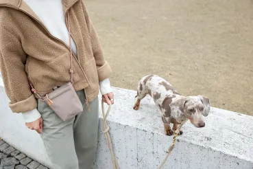 Hundetraining leicht gemacht: Der Leckerlibeutel Karl Taupe mit Magnetverschluss von PALOPA