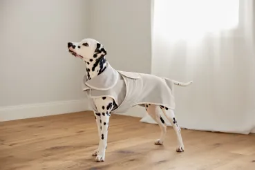 Hundebademantel beige Robi - PALOPA