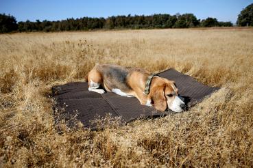 Hundemattentasche anthrazit - Nobo PALOPA