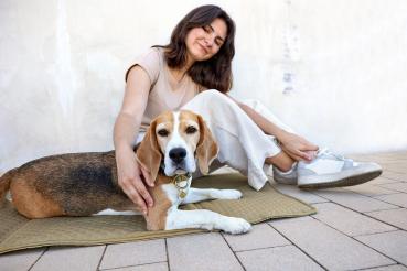 Hundemattentasche salbei - Nobo PALOPA  2106002283