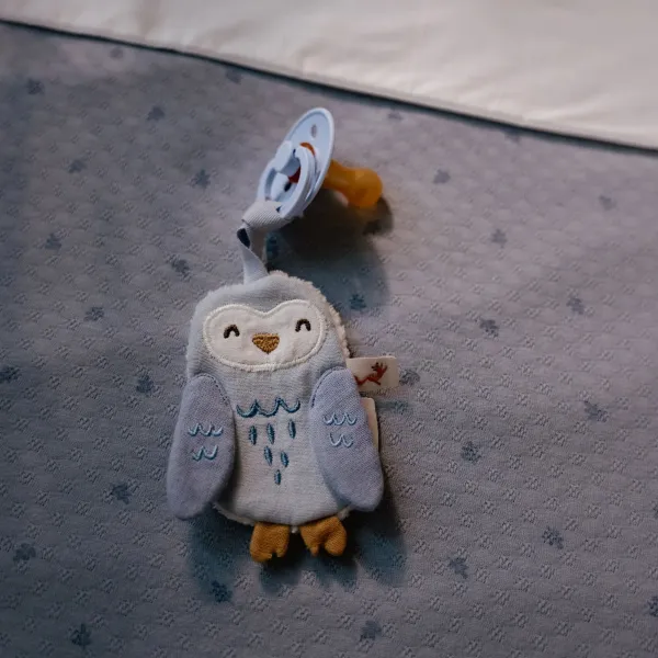 Little Dutch Schnullertuch Eule blau – Forest Friends Bio-Musselin