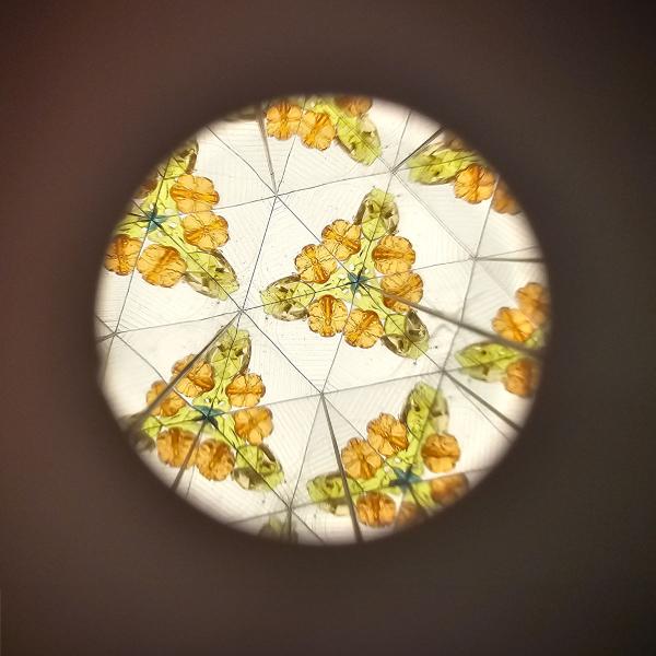 Little Dutch Kaleidoskop blau - Forest Friends