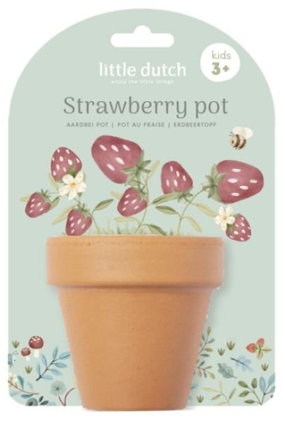 Little Dutch Pflanztopf Erdbeere - der Blumentopf mit Erdbeersamen