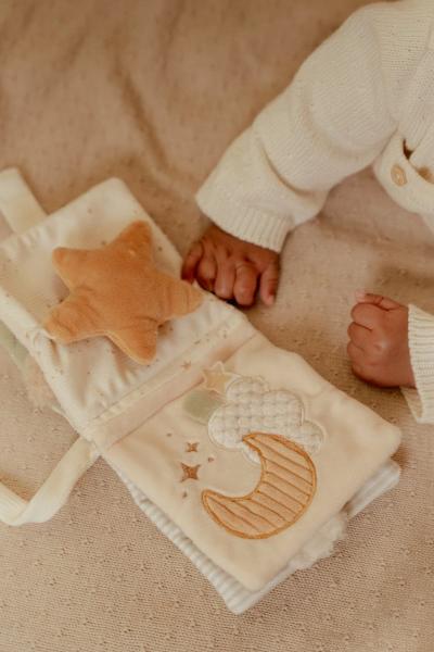 Buggybuch Little Goose Newborn Naturals GRS Little Dutch