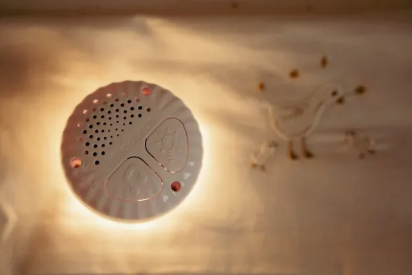 Gans Nachtlicht mit Soundmodul für Babys – beruhigende Lichtfarbe & Geräusche