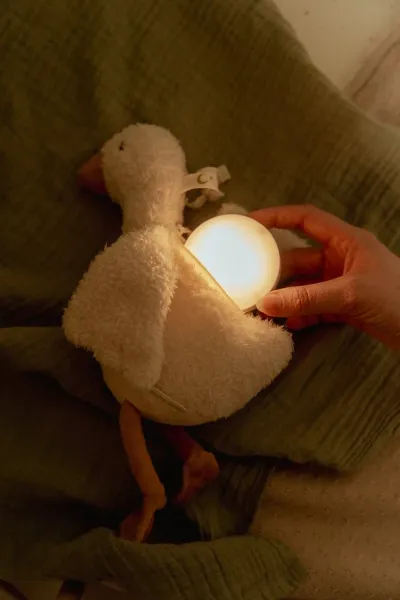 Little Dutch Kuschelgans mit integrierter Lichtkugel & Soundelement