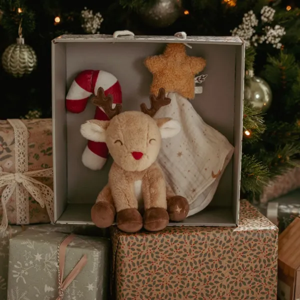Weihnachts Geschenkidee für Babys von Little Dutch LD4878 Weihnachts Geschenkidee für Babys von Little Dutch LD4878