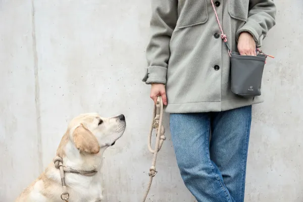 Hundetasche Karl von PALOPA – ideal für Leckerlis und Kotbeutelspender