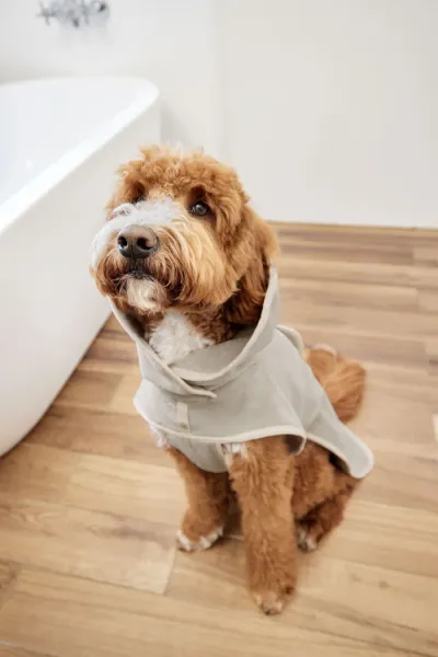 Hundebademantel beige Robi - PALOPA Hundebademantel beige Robi - PALOPA