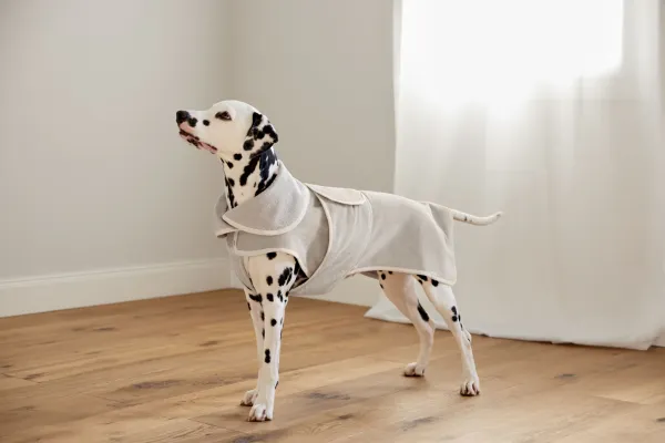 Hundebademantel beige Robi - PALOPA Hundebademantel beige Robi - PALOPA