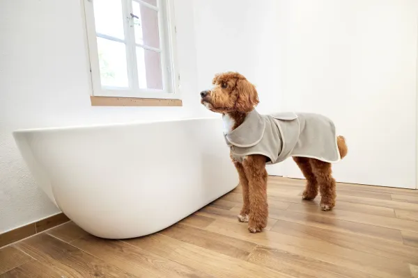 Hundebademantel beige Robi - PALOPA Hundebademantel beige Robi - PALOPA