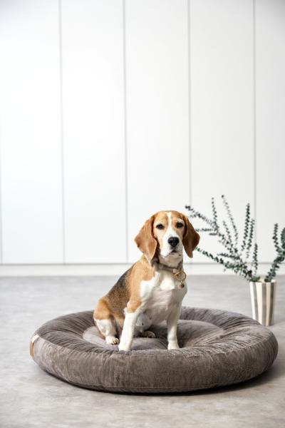 Palopa Hundebett grau rund - Fippa Anthrazit Palopa Hundebett grau rund - Fippa Anthrazit