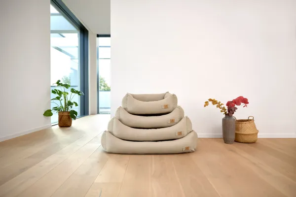 Weiches Hundebett aus Baumwolle in Humus. Nachhaltig, waschbar & stilvoll – Modell Fred von Palopa. Für Hunde mit Anspruch auf Komfort & Design.