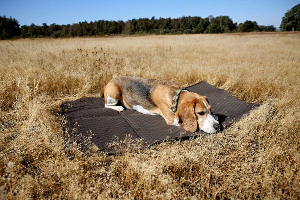 Hundemattentasche anthrazit - Nobo PALOPA Hundemattentasche anthrazit - Nobo PALOPA
